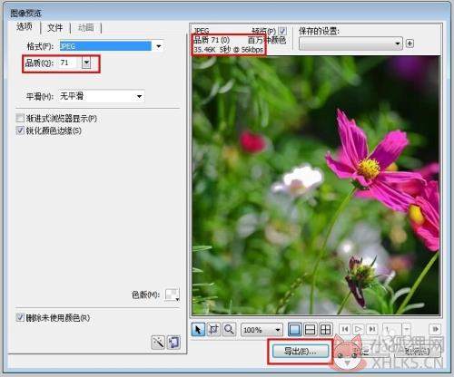 fireworks8免费版如何改变图片大小9