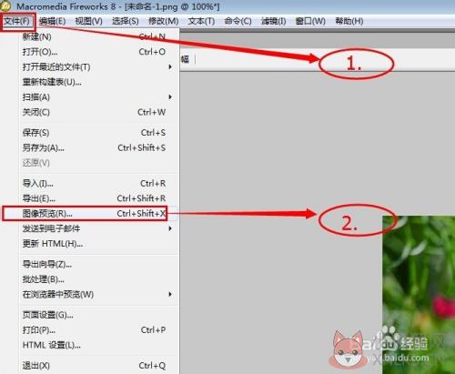fireworks8免费版如何改变图片大小7