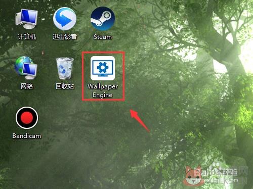 steam动态桌面软件使用步骤4