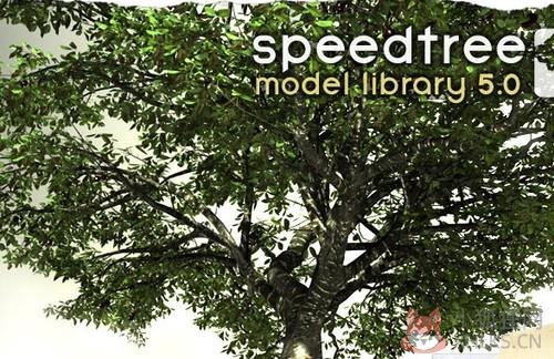 SpeedTree最新版