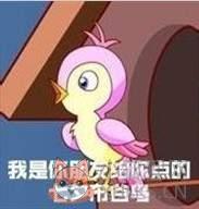 七夕布谷鸟头像表情包