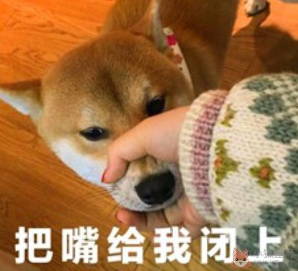 把嘴给我闭上表情包