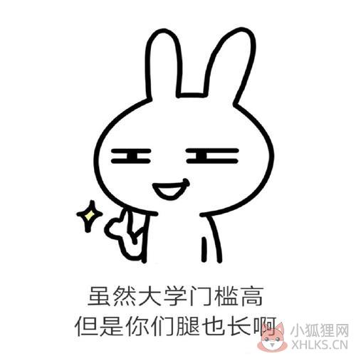 流氓兔qq表情包
