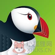 puffin