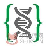 女娲石