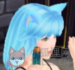 3d箱娘中文版
