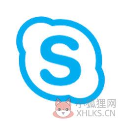 Skype手机版