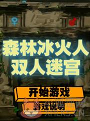 森林冰火人双人迷宫