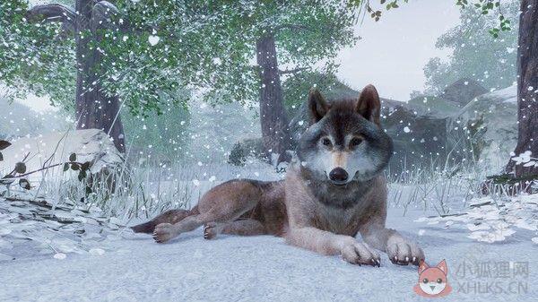 动物园之星手机版下载（Planet Zoo）图片1