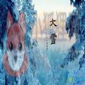 今日大雪节气的问候祝福语图片带字大全 v1.0