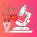 樱桃医生app官方最新版 v1.2.6
