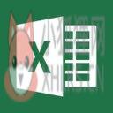 Microsoft Excel