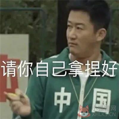吴京中国表情包