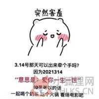 2021314爱你一生一世图片