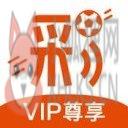 全民智投