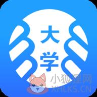 掌上大学