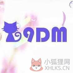 9dm论坛