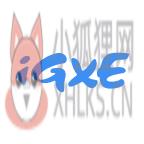 IGXE