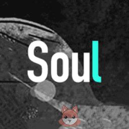 Soul灵魂社交