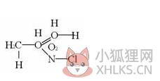 eduword(公式编辑器) 1.4 绿色版