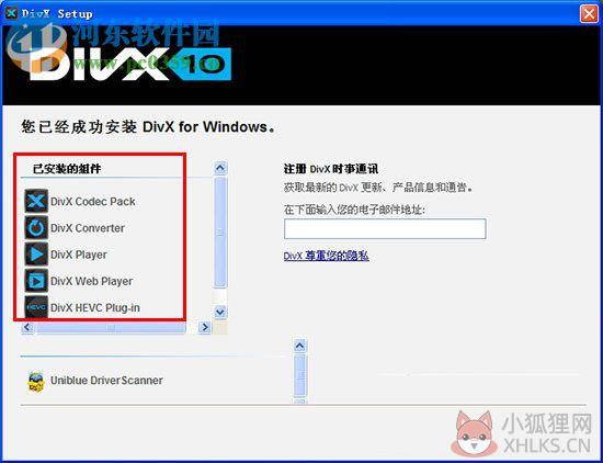 DivX player中文版下载 5.5 免费版
