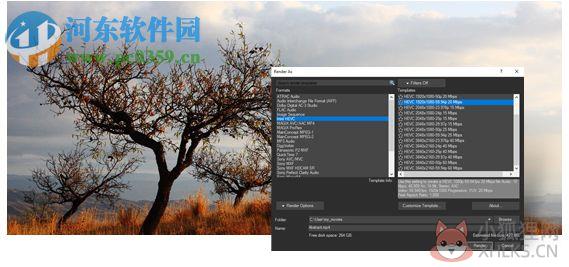 Sony Vegas Pro11下载(视频编辑软件) 11.0.700 中文版