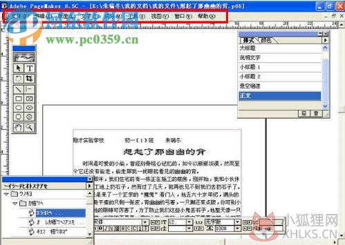 pagemaker6.5 中文免费版
