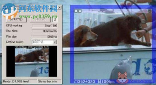 amarecco下载(电脑屏幕捕捉软件) 3.1 绿色中文版