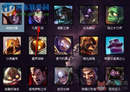 lol dsx换肤小助手 4.9 最新免费版