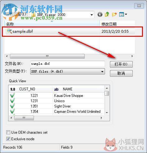 dbfviewer2000(dbf文件阅读器) 5.95 注册版