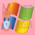 xp装机版系统纯净版 v11.9