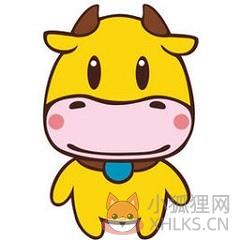 嘟嘟牛管家完整版 v9.8.3.8