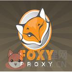 foxyproxy绿色版 v4.6.5