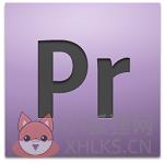 premiere cs4中文版 v11.0