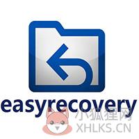easyrecovery pro汉化中文版 v6.0