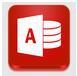 access2010免费免安装 v1.0