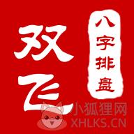 双飞八字排盘