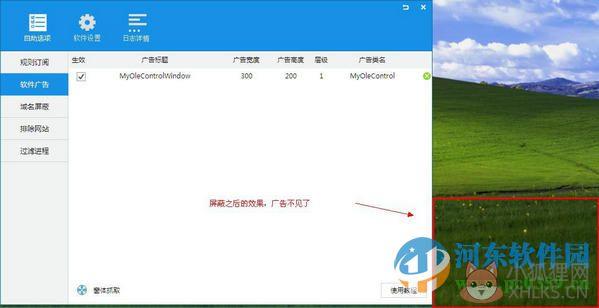 ADSafe 5.3.117.9800 正式版