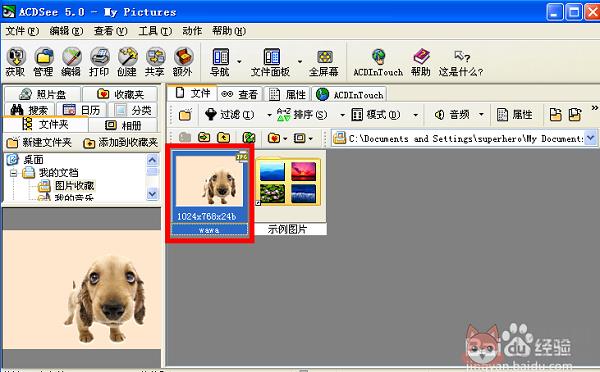 ACDSee12 v12.0官方正式版