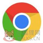 Google人体浏览器 v39.0专业版