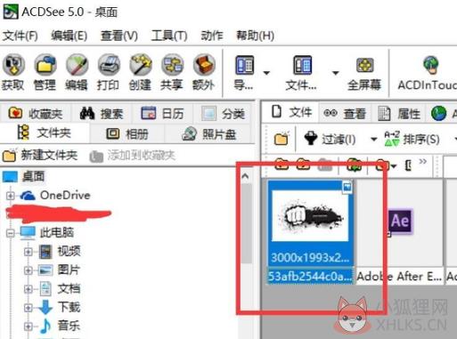 ACDSee 5.0绿色免费安装版