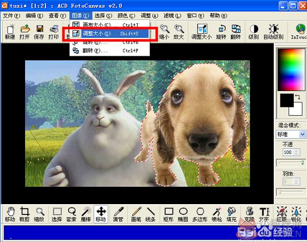 ACDSee12 v12.0官方正式版