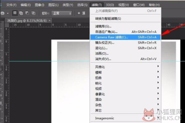 Adobe Camera Raw V14.2.0.1028正式版