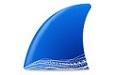 Wireshark V3.4.6简体中文版