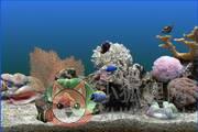 热带鱼水族箱屏幕保护程序 3.3 免费版