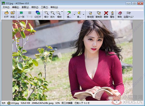 ACDSee 5.0绿色版