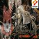 恶魔城：月下夜想曲中文版