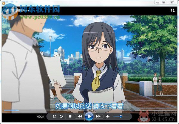 Windows Media Player 12电脑版