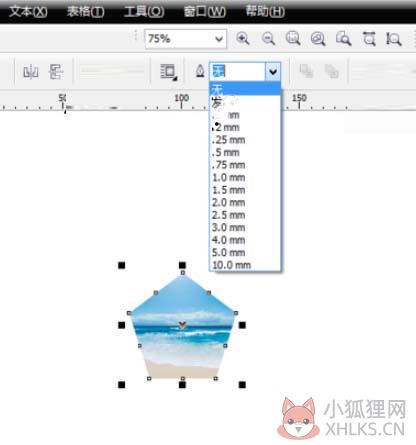 CorelDRAW 12绿色版