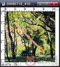 Adobe Photoshop2022官网版